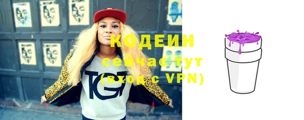 прущие крисы Вяземский