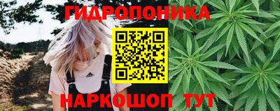 мдпв Жуковский