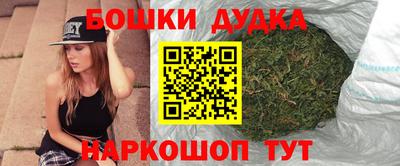 индика Заводоуковск