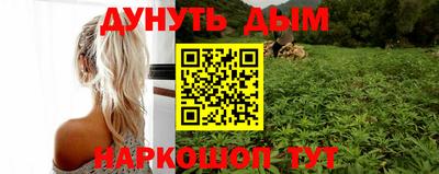 индика Заводоуковск