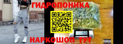 дживик Железногорск