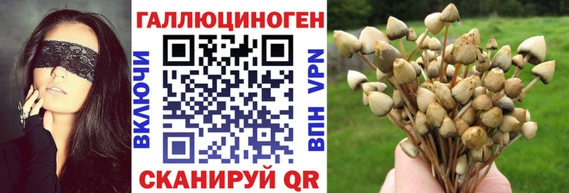 Галлюциногенные грибы Cubensis  Донской 
