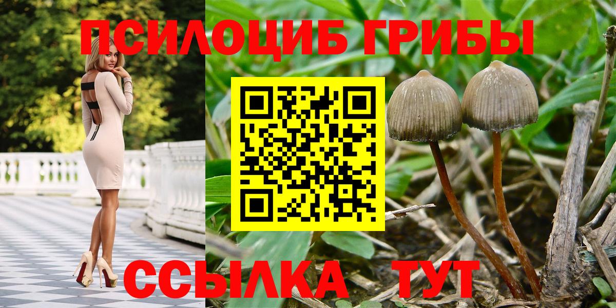Псилоцибиновые грибы MAGIC MUSHROOMS  закладка  Донской 