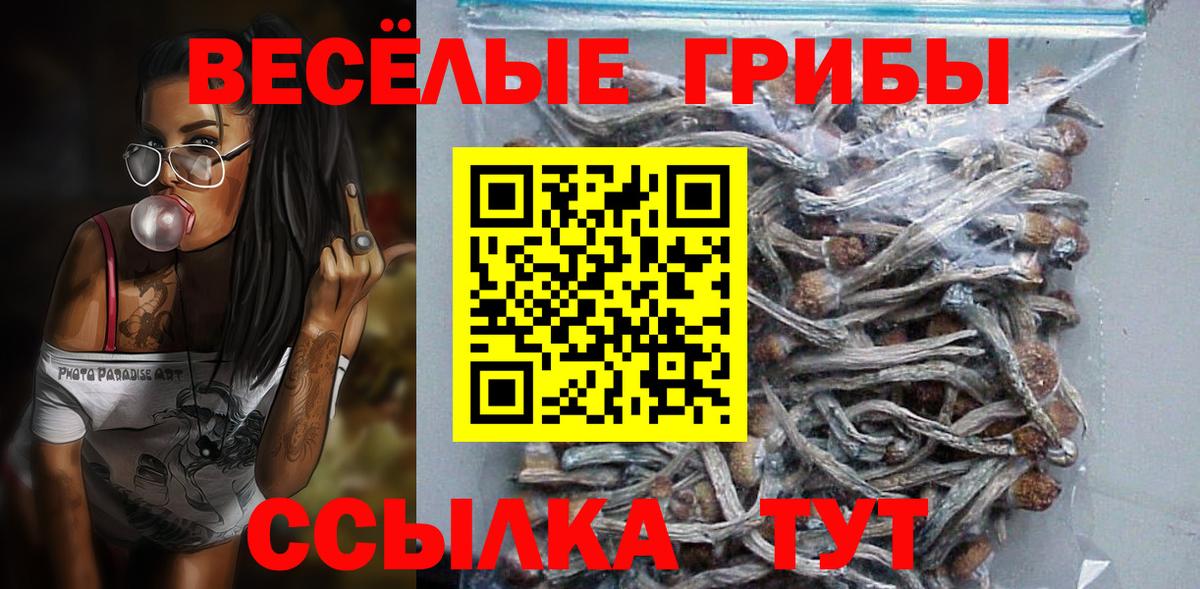 Псилоцибиновые грибы MAGIC MUSHROOMS  Вход с VPN  Донской 