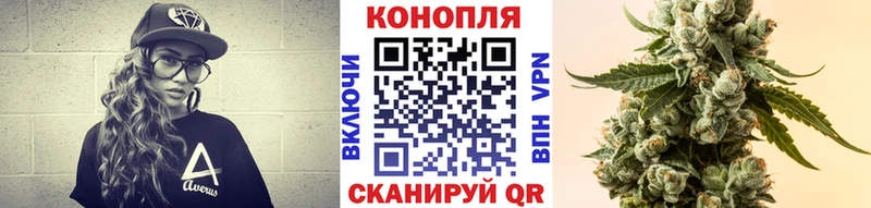 МАРИХУАНА сатива Донской